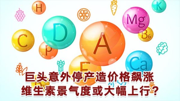 镕盛配资 巴斯夫大中华区董事长兼总裁楼剑锋主题演讲：绿色转型 制胜有道