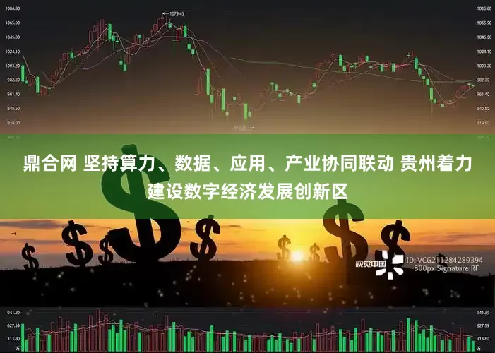 鼎合网 坚持算力、数据、应用、产业协同联动 贵州着力建设数字经济发展创新区
