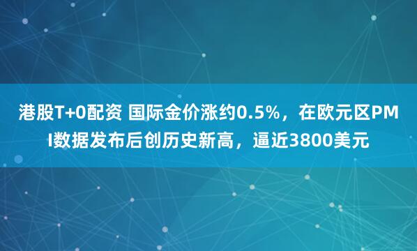 港股T+0配资 国际金价涨约0.5%，在欧元区PMI数据发布后创历史新高，逼近3800美元