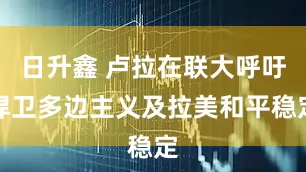 日升鑫 卢拉在联大呼吁捍卫多边主义及拉美和平稳定