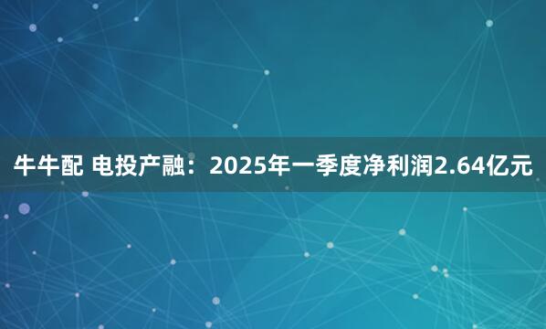 牛牛配 电投产融：2025年一季度净利润2.64亿元